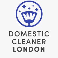 Domestic Cleaner London image 1